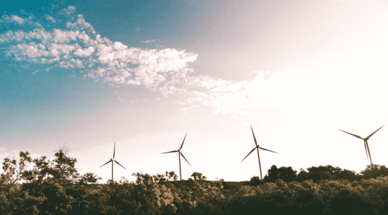 Les 17 objectifs de développement durable, un outil incontournable pour les entreprises